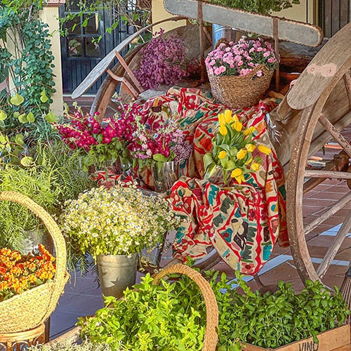 carro de madera decorativo con cestos de plantas y flores